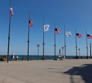Navy Pier 