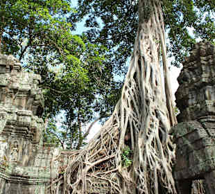 Tempel