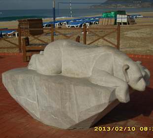 Faulbär am Cleopatrastrand