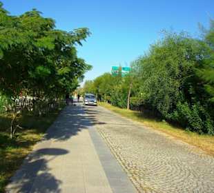 Kumköy-Side-Kumköy 19.10.2012