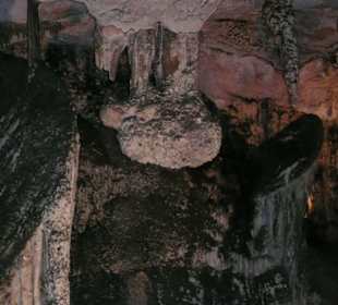 "Das Schaf auf dem Kopf"