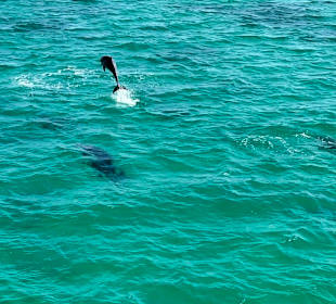 Unbeschreiblich schön 