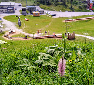 Wandern Göstling an der Ybbs