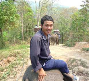Ein Mahout auf seinem Elefanten
