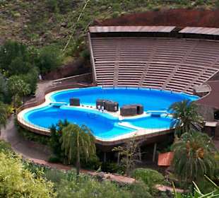 Die Delphinarena vor der Show