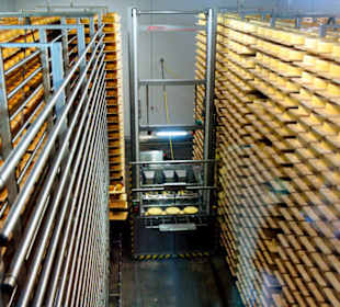 Käsekeller / Cheese Cellar