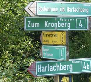 Bei unserer Wanderung zur Harlachberger-Spitze