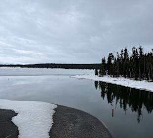 Yellowstone Nationalpark