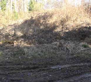 Historischer Rundwanderweg Aichtal