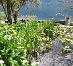 Ausflug auf Brissagoinsel