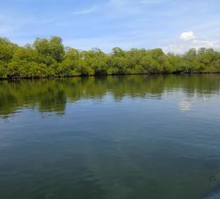 Mangrovendschungel und Lagunen