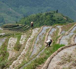 Reisterrassen PingAn