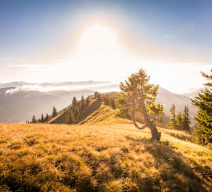 Wandern Balderschwang