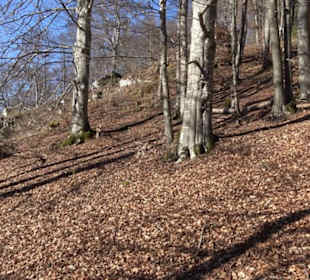 Naturerlebnispfad Meidelstetten