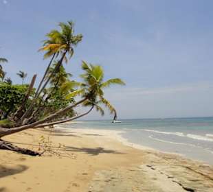 Samana-Las Terrenas Tour