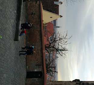 Zur Plattform Aussicht
