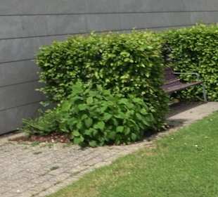 Eugen-Hornberger-Halle