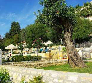 Inspirationen an d.Strandprom.entlang Nov.2010