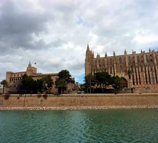Palma