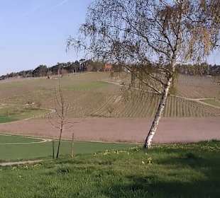 Aussichtsturm auf dem Uissigheimer Stahlbergl