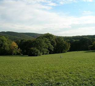 Schwarzenbergpark im 17. Bezirk