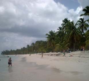 Saona