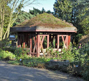 Rundgang durch den Botanischen Garten Hamburg