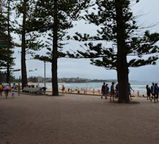 Manly Beach