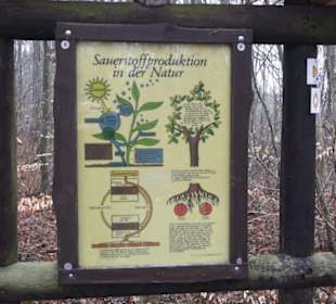 Wildpark Eichert