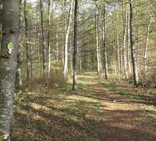 Wanderweg Hochgehswiggert