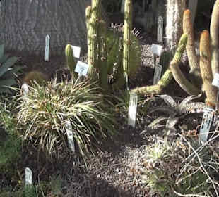 Botanischer Garten 