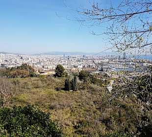 Park Montjuic