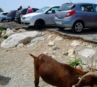 aufpassen wo man hintritt