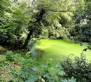 Spaziergang durch Thieles Garten