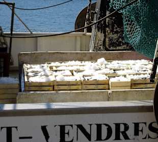 Anchovis de Collioure