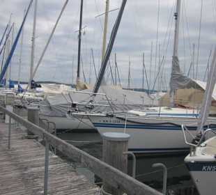 Insel Reichenau Yachthafen
