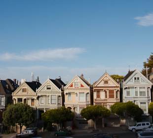 Painted Ladies