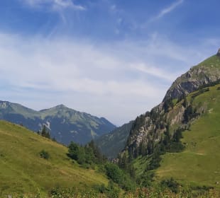 Ausblick