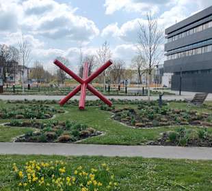 Sport- und Freizeitpark Wiley