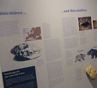 Höhlenkundliches Museum Laichingen
