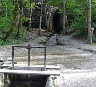 Walderlebniszentrum Ziegelwies