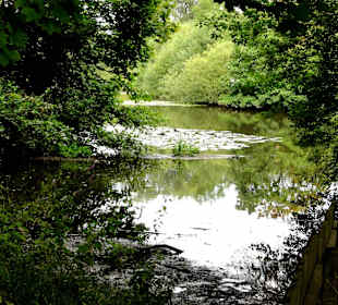 Spaziergang durch das Schönebecker Auetal
