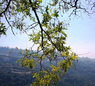 Volos  Pelion Gebirgslandschaft