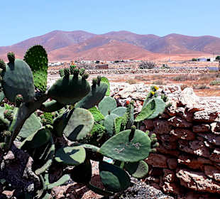 Inselrundfahrt Tagesausflug