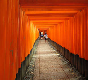 Torii