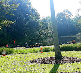 Botanischer Garten