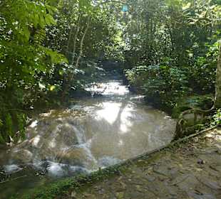 El Nicho