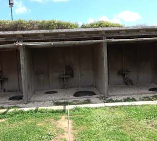 Malta Falconry Centre