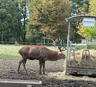 Alsdorf Zoo