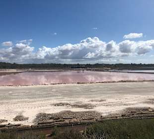 Küstenwandern Colonia Sant Jordi